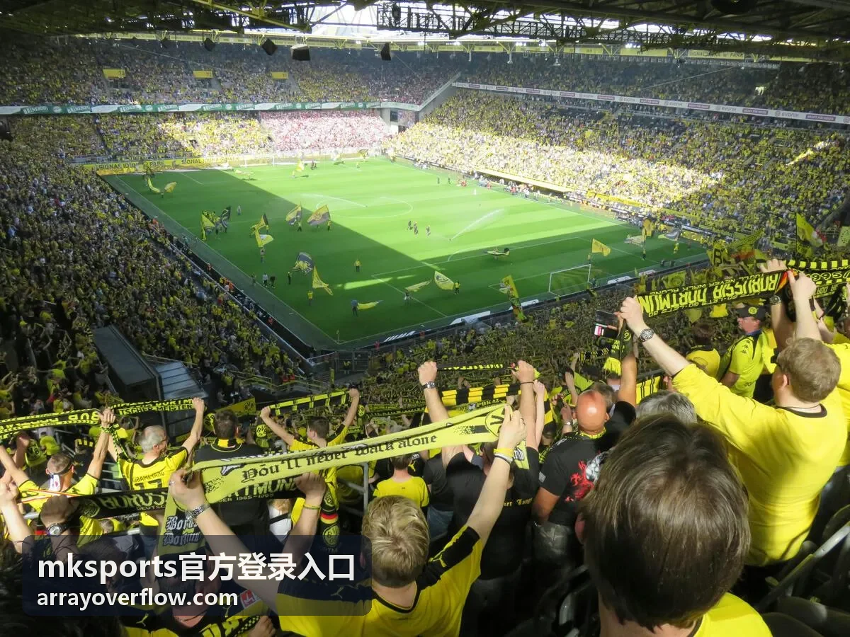 mksports官方登录入口历史资料下载专区封面